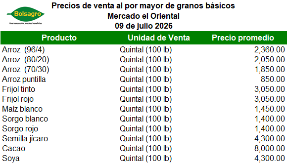 MAYORISTA 9 DE JULIO 2026