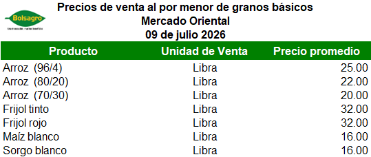 MINORISTA 9 DE JULIO 2026