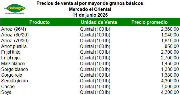 MAYORISTA 11 DE JUNIO 2026